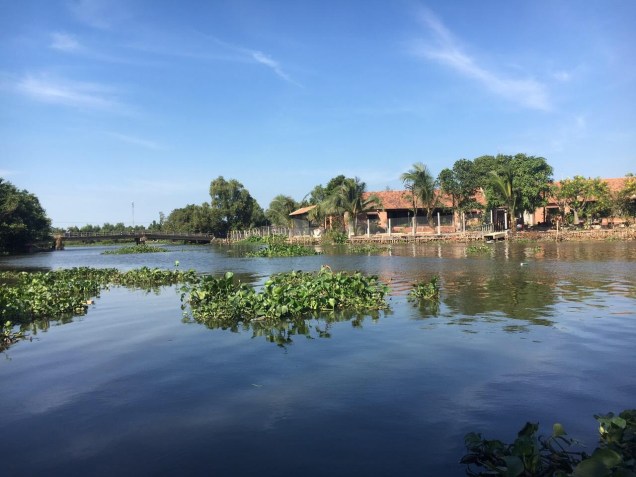 Cây Cảnh, Hoa Và&nbsp;Trà